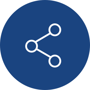 connect icon